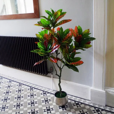 The Range Artificial Codiaeum Multicoloured Tree - Green