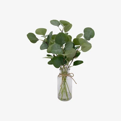 The Range Eucalyptus with Glass Pot