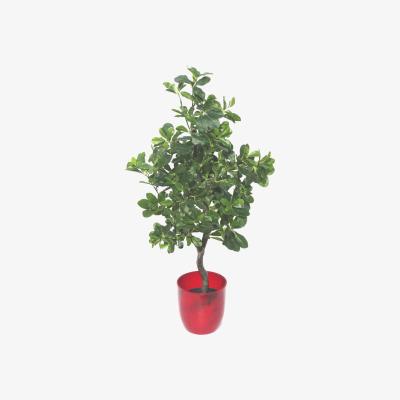 The Range Geranium Aralia (Polyscias Guilfoylei) Artificial Plant Tree - Green