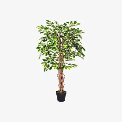 The Range Homescapes Variegated Green Artificial Ficus Tree with Real Wood Trunk, 4 Ft - Green