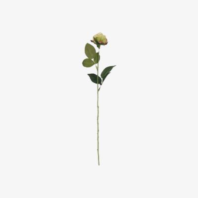 The Range Single Stem Diamond Rose 61 cm - Light Green