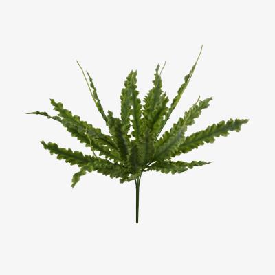 The Range Artificial Crocodile Fern Plant - Green