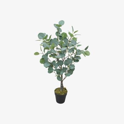 The Range Artificial Eucalyptus Tree - Green