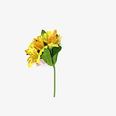 The Range Alstroemeria Plant Spray with Yellow Flowers Peruvian Lily 7 Flowers - Yellow