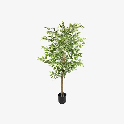 The Range Artificial Ficus Tree With Variegation Leaves - Green