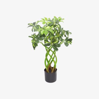 The Range Artificial Plant Bonsai Bush Twisted Stem Golden Capella - Green