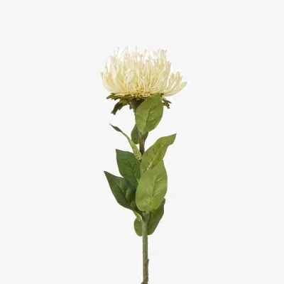 The Range Cream Protea Lorea Stem Artificial Flower Stem - Cream