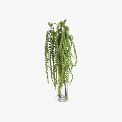 The Range Botanical Filler Amaranthus  - Green