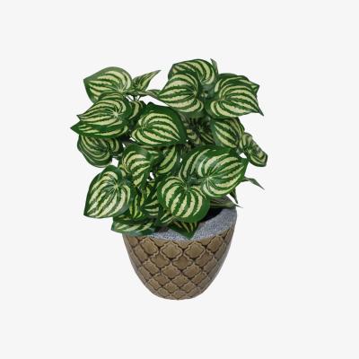The Range Artificial Watermelon Style Leaves Plant - Green