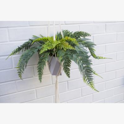 The Range Potted Realistic Artificial Urban Jungle Hanging Fern Plant - Green