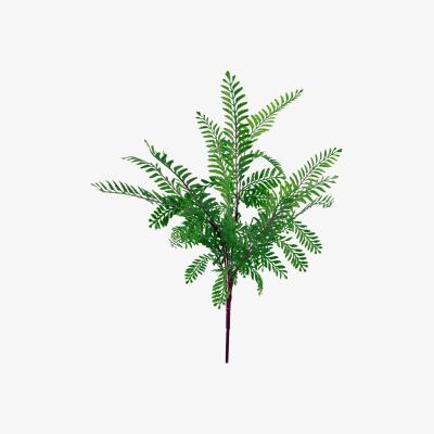 The Range Himilayan Maidenhair Fern Bush Dark Green Plant - Green