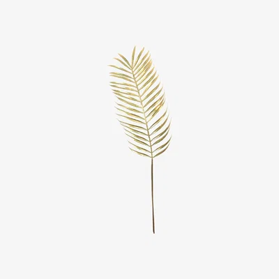 The Range Metallic Gold Large Palm Leaf
