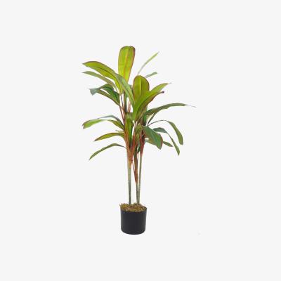 The Range Artificial Potted Dracaena Tropical Plant - Green