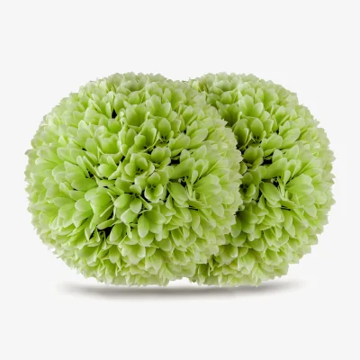 The Range 2 PCS Artificial Plant Topiary Balls - Green