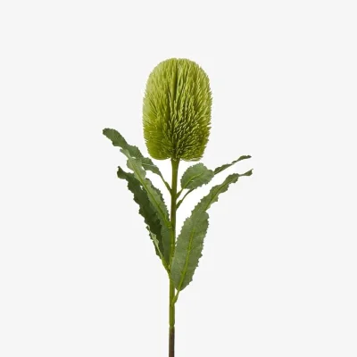 The Range Large Green Banksia Serrata Stem Artificial Flower Stem - Green