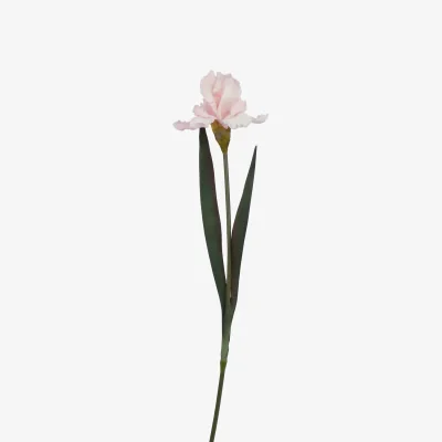 The Range Pale Pink Fringed Iris Artificial Flower Stem - Pale Pink