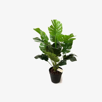 The Range Artificial Monstera Plant in Black Pot - Green