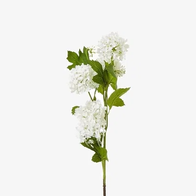 The Range Hill Interiors Snowball Viburnum Artificial Flower Spray - Cream