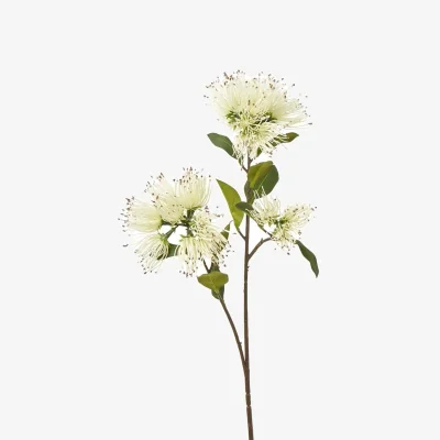 The Range Hill Interiors Protea Nitida Stem Artificial Flower Spray - Cream