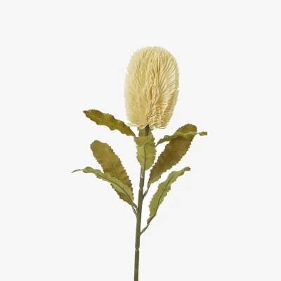 The Range Hill Interiors Banksia Serrata Artificial Flower - Cream