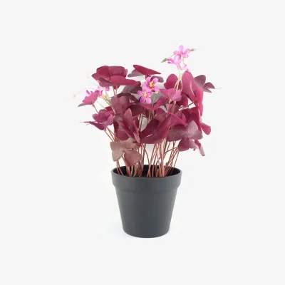 The Range Leaf 30cm Artificial Plant Realistic Purple Shamrock Pink Flowers Potted - Purple