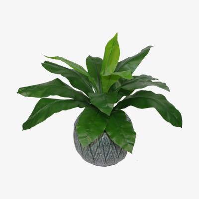 The Range Bushy Artificial Bird's Nest Fern Plant - Green