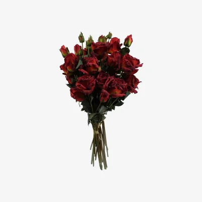 The Range 6 x 60cm Red Rose Artificial Flower Spray Bundles - Red