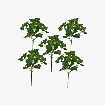 The Range Pack of 5 Variegated Ivy Leaf Sprays Foliage Plants - Green