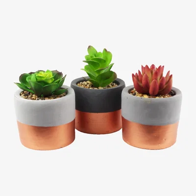 The Range Set of Three Stoneware Planters Artificial Succulent Plants - Red