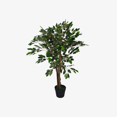The Range Plant Green - Large - Green