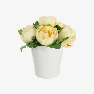 The Range Potted Eternity Roses - Yellow
