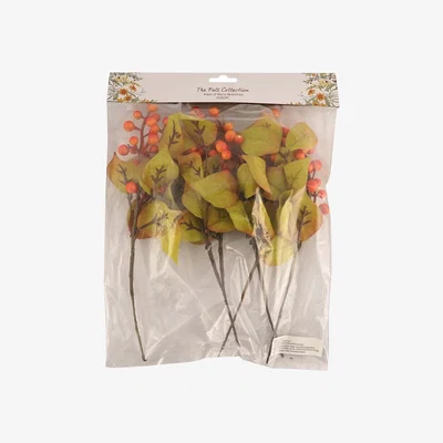 The Range Pack of Berry Branches - Orange