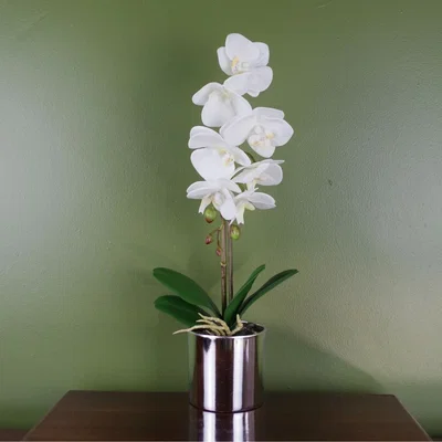 The Range 46cm Real Touch Artificial Orchid with 7 Flowers in Decorative Pot - White