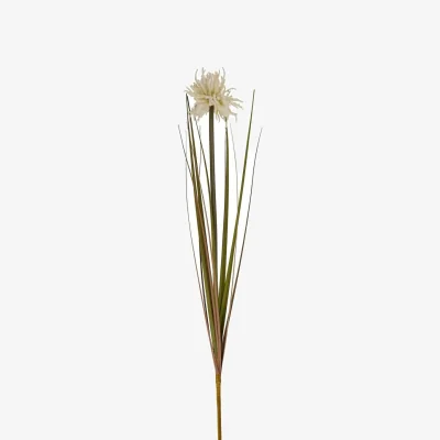The Range Cream Aster Spider Chrysanthemum Stem Artificial Flower Stem - Cream