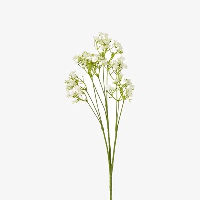 The Range Hill Interiors Gypsophila Stem Artificial Flower - Cream