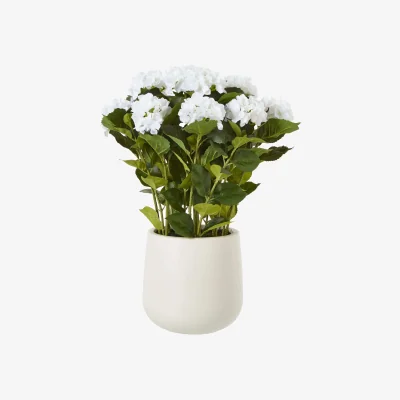 The Range Hydrangea Artificial Plant Matt Pot - White