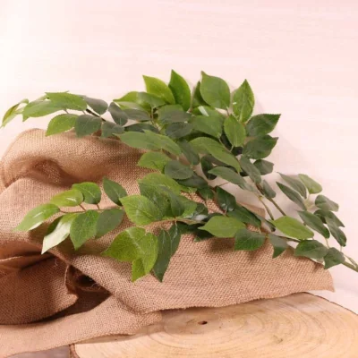 The Range Wisteria Leaf 3 Pack Green Artificial Flowers - Green