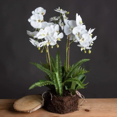 The Range Large Orchid and Fern Artificial Plant in Moss Covered Rootball - White