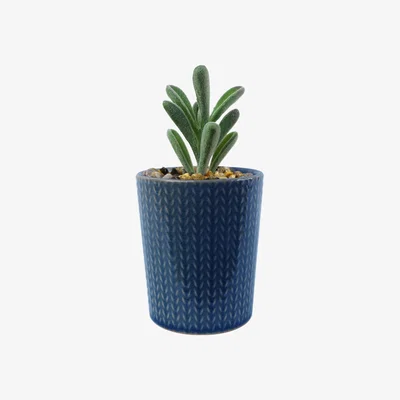 The Range Ceramic Blue Stripe Planter Artificial Succulent Plant - Blue