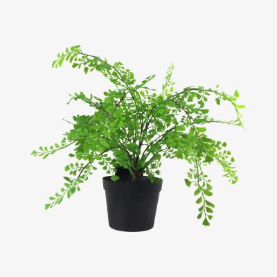 The Range Artificial Potted Fern Plant (Southern Maidenhair Fern) - Green