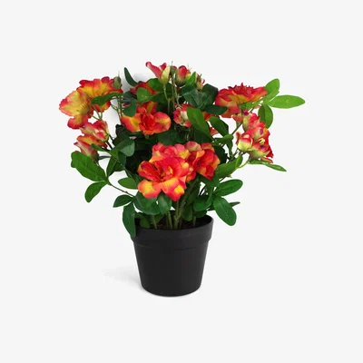 The Range 40cm Artificial Rhododendron Plant Pink Orange - Orange