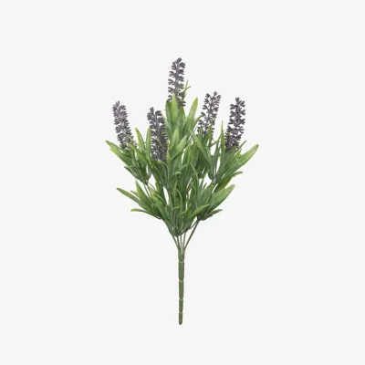 The Range Exterior Everlast Lavender Plant U V - Purple