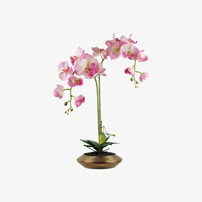 The Range Artificial Orchid Light Pink Gold Dish Ceramic Planter - Pink