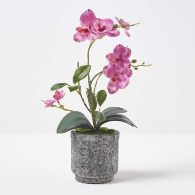 The Range Homescapes Pink 40 cm Lifelike Artificial Orchid in Grey Cement Pot - Pink