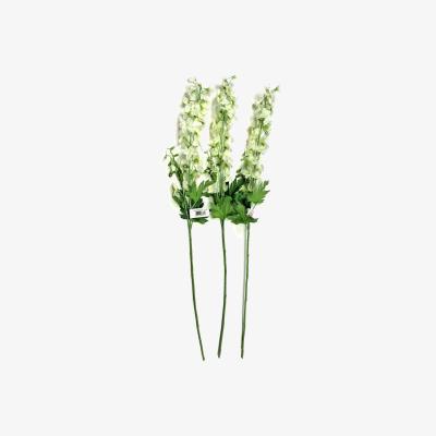 The Range 3 Pack Delphinium Sprays - Ivory
