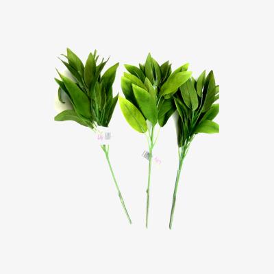 The Range Pack of 3 Sage Plants Sprays - Bright Green Foliage - Green