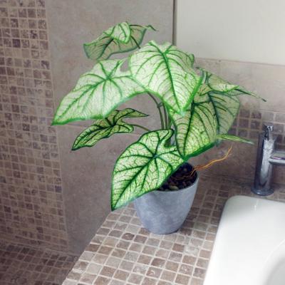 The Range Artificial Taro House Plant in Decorative Planter - Green
