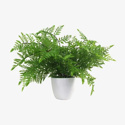 The Range Artificial Potted Southern Wood Fern - Green