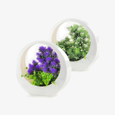 The Range Fake Artificial Plants in Pots Set of 2 - Purple and Green