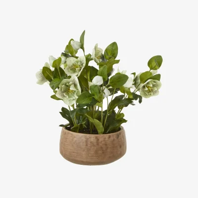 The Range Hellebore Artificial Plant in Rustic Taupe Pot - Green